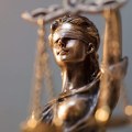 The Role of Expert Witnesses in Society Today