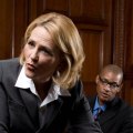 The Role of Lawyers in Society: An Expert's Perspective