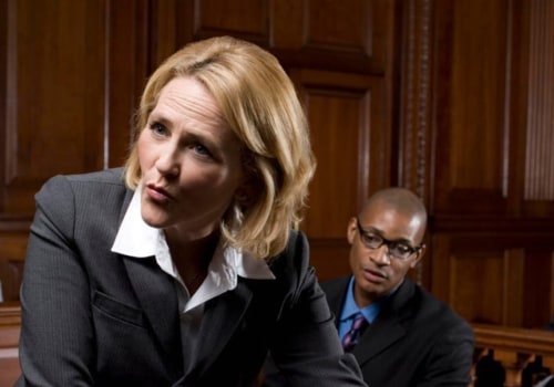 The Role of Lawyers in Society: An Expert's Perspective
